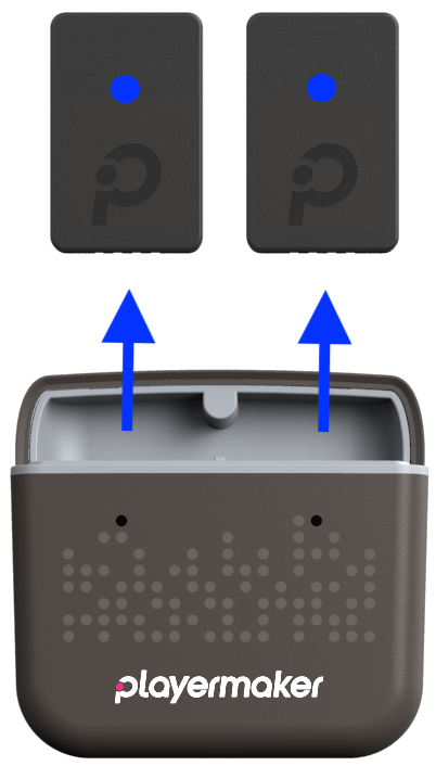 NEMO_CASE_2022-03-03.6318.png